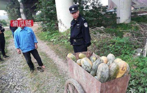 榆林最新吃瓜事件新闻,真相揭秘，网友热议不断