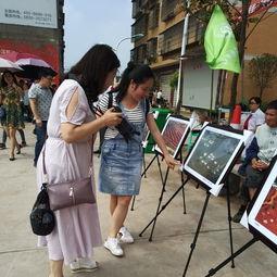 晋城吃瓜群众事件