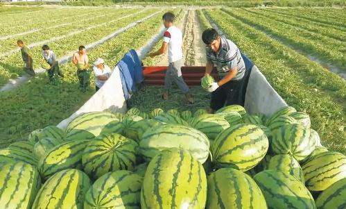 建湖二中事件吃瓜,揭秘校园风波背后的真相