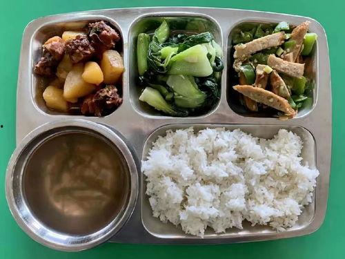 食堂吃瓜事件背后的真相,揭开校园饮食安全与管理的真相面纱
