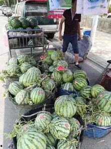 南充奥体吃瓜事件