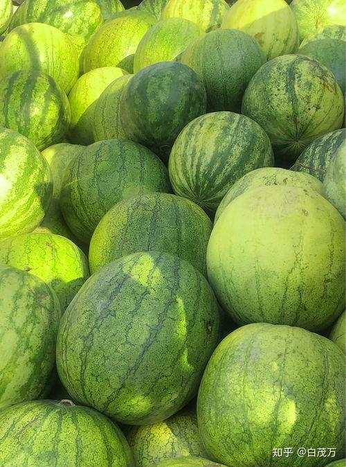 兰州吃瓜事件啥意思,一场引发社会热议的网络风波揭秘