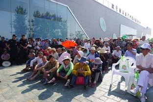 泗洪吃瓜群众事件,网络舆论下的社会现象解析