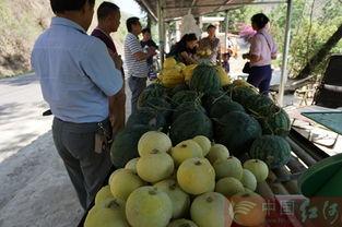 潮汕江边吃瓜最新事件,一场引发热议的街头冲突