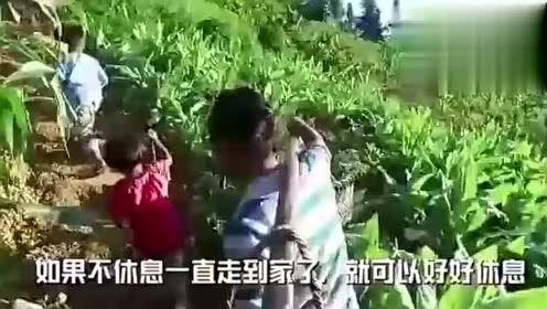 德州高师事件吃瓜视频,吃瓜群众视角下的校园风云录