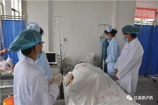 廊坊医院吃瓜事件真相,真相揭秘，还原事件始末