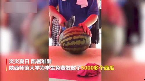 福师大事件吃瓜视频下载,吃瓜视频揭秘校园风云录